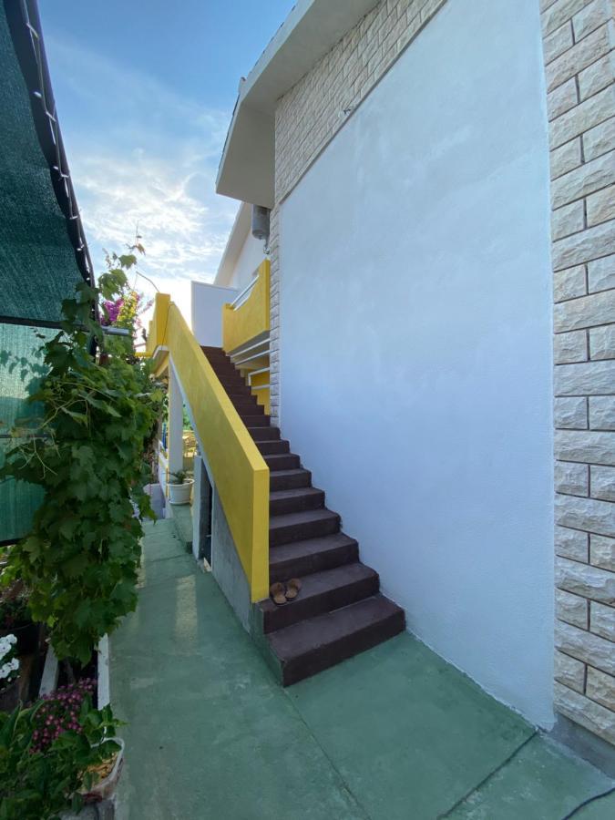 Apartment Elena Donji Okrug (Ciovo) Exterior foto